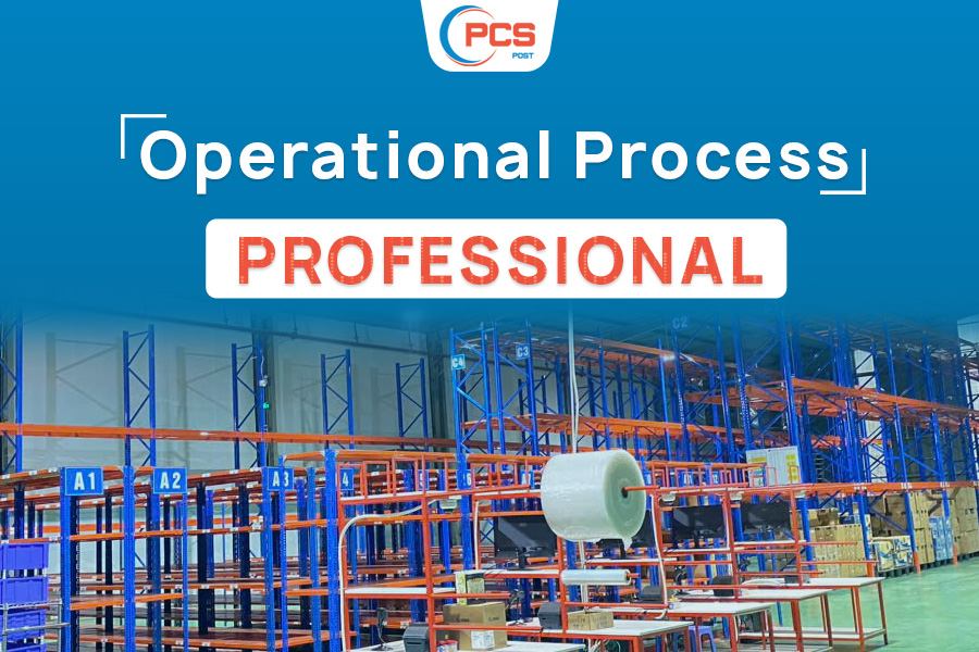 Professional Operational Process